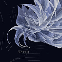 album-cover-4